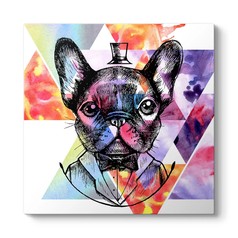 King French Bulldog - Model 3
